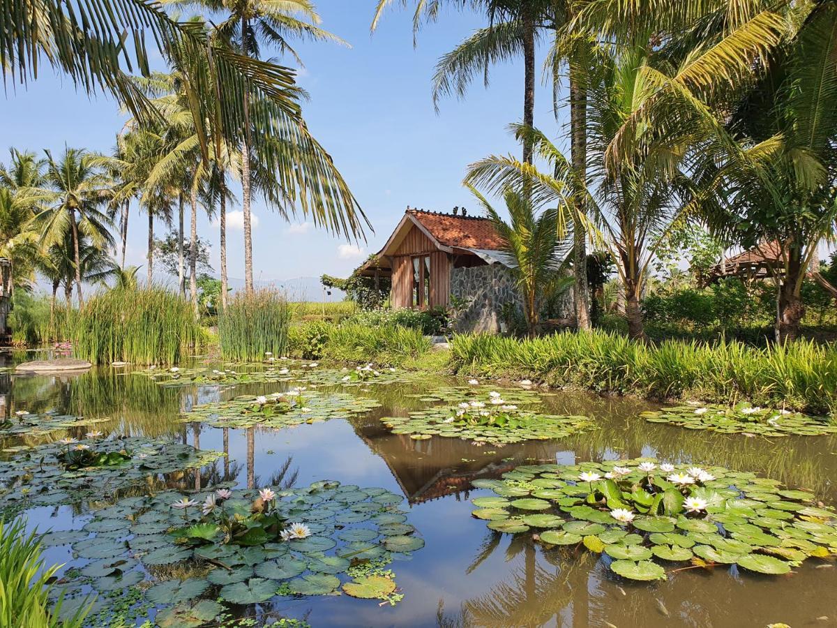 Borobudur Bed & Breakfast マゲラン エクステリア 写真