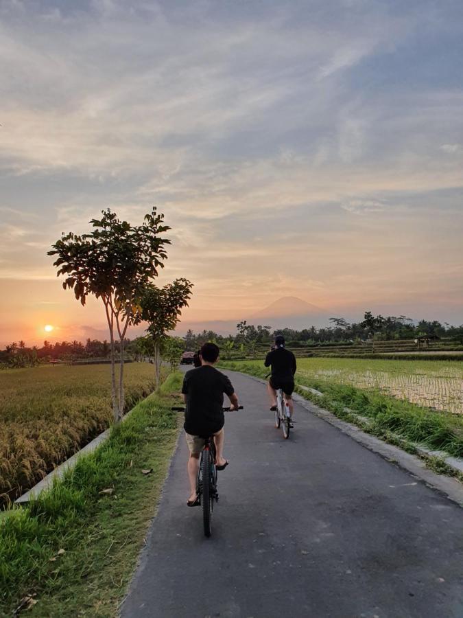 Borobudur Bed & Breakfast マゲラン エクステリア 写真