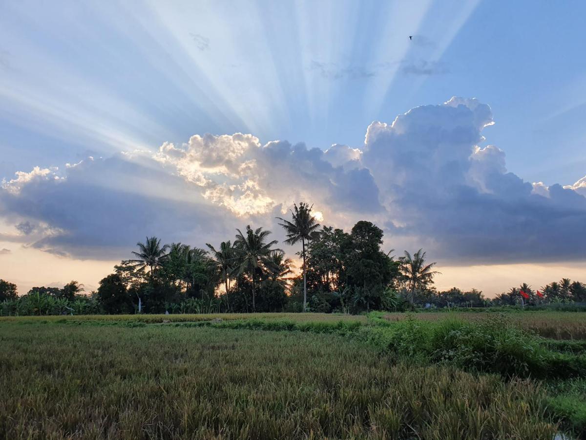 Borobudur Bed & Breakfast マゲラン エクステリア 写真