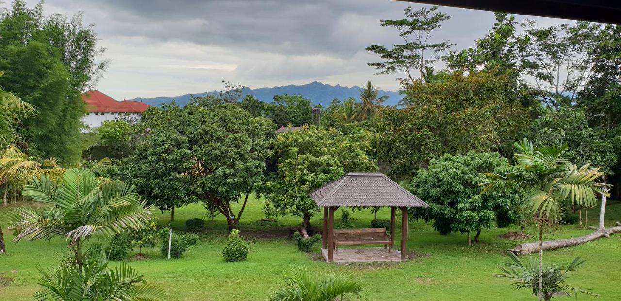 Borobudur Bed & Breakfast マゲラン エクステリア 写真