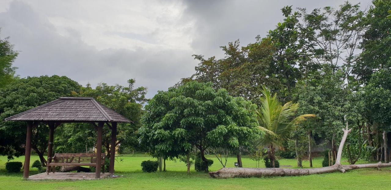 Borobudur Bed & Breakfast マゲラン エクステリア 写真