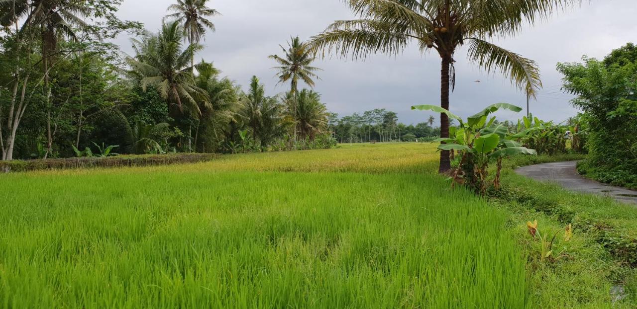 Borobudur Bed & Breakfast マゲラン エクステリア 写真