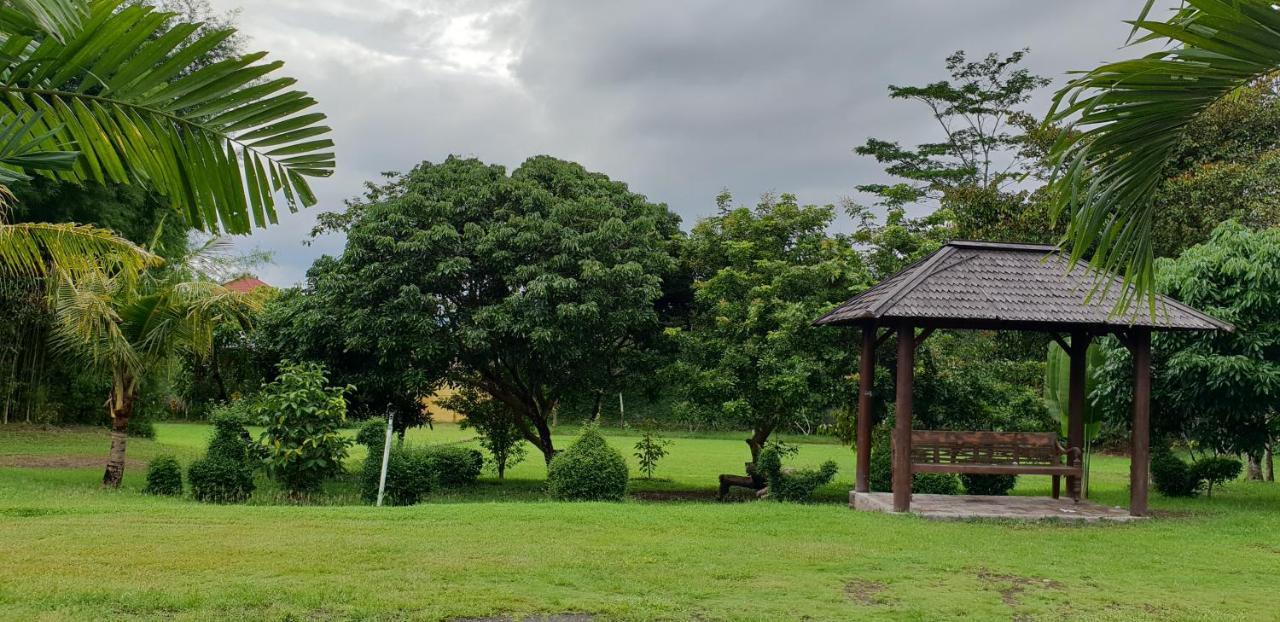 Borobudur Bed & Breakfast マゲラン エクステリア 写真